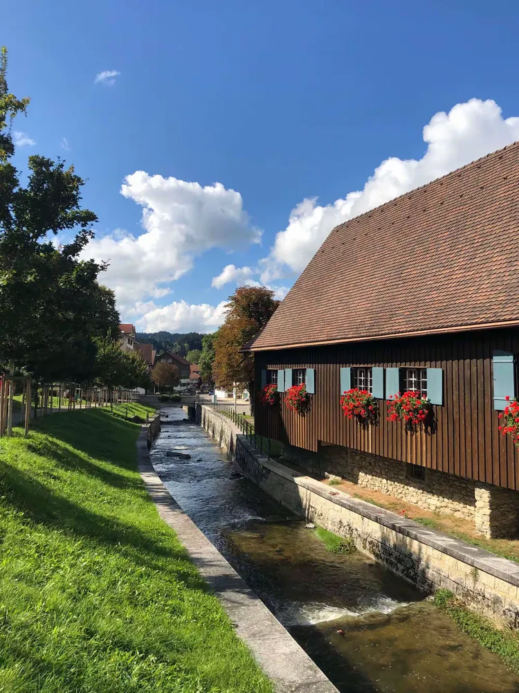 奥地利终结瑞士连胜攻势猛狠唤醒欧预赛雄心的简单介绍 奥地利终结瑞士连胜攻势猛狠唤醒欧预赛雄心的简单介绍